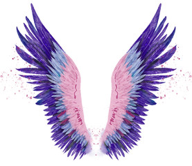 Beautiful magic watercolor violet blue pink wings