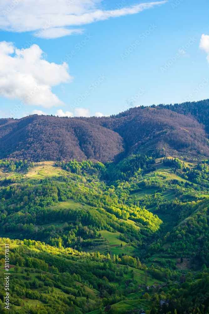 Wall mural mountain landscape in springtime. forest getting green. beautiful weather with fluffy clouds in even