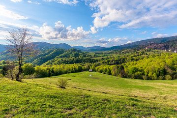 Fototapeta na wymiar Carpathians countryside in springtime. wonderful sunny weather with dynamic cloud formations on the blue sky. forested rolling hill with rural fields in evening light. 