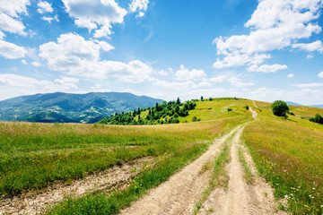 Fototapeta na wymiar mountain rural landscape in summertime. country path winding off in to the distant ridge. rolling hills with grass fields and meadows. calm sunny weather with fluffy clouds on the blue sky
