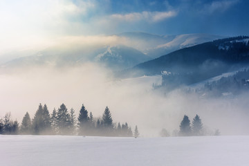 blizzard in mountains. magic scenery with clouds and fog on a sunny winter day. trees in mist on a snow covered meadow. borzhava ridge in the distance. cold weather approaching