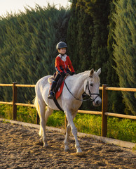 Kid riding white horse during horseback lessons.