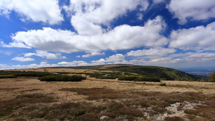 Mountain meadows