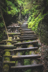 Wild adventure, Hiking trail through canyon in Slovak paradise national park, Slovakia 