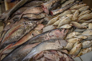 Fresh fish at the fish market in Kuwait