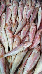 fish, food, market
