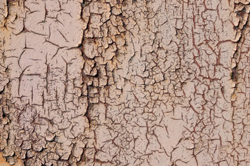 wall of a metal garage with cracked and falling off paint with rust stains
