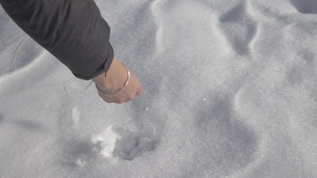 Girl touching and grabbing snow with her hand, close up shot