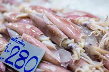 Frozen fresh squid close up on ice sell in market