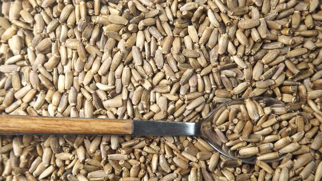 Herbal remedy silybum marianum, milk thistle seeds. Medical plant as food background or texture. Top down view. Natural treatment for liver problems