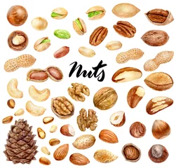 Fotobehang Nuts big set composition watercolor isolated on white background © cosmicanna