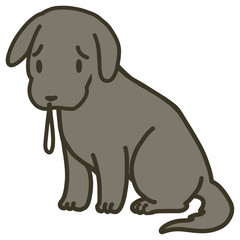 座っている犬のイラスト_風邪