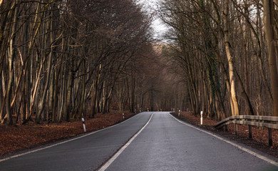 Fototapeta premium Herbstliche Straße