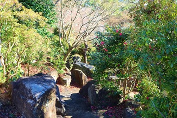 秋　道　風景　庭