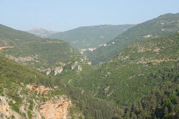 Fototapeta na wymiar Wild valley near the valley of Qadisha. Valley of Qadisha, Lebanon - June, 2019