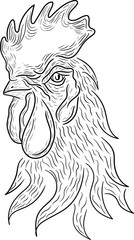 Rooster. Cock Illustration in Vintage engraving style. Grunge label, sticker for the farms and manufacturing depicting roster. Grunge label for the chicken product. Farm painting. Cockerel. Vector