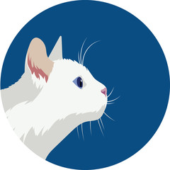 Profile Portrait of a White Cat
