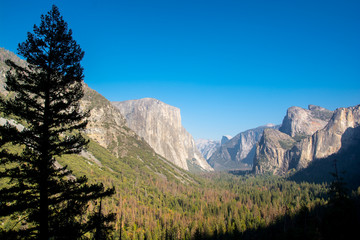 Obraz premium Morning view from the Tunnel point. Beautiful Yosemite Valley and El Capitane