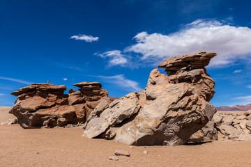 Fototapeta na wymiar Carved stone, stone tree on the altiplano in Bolivia.