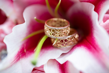 wedding rings and rose