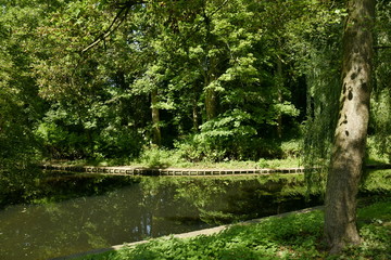 Végétation dense et luxuriante le long d'un bras d'eau au parc Josaphat à Schaerbeek