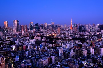 Obraz premium 東京の夜景