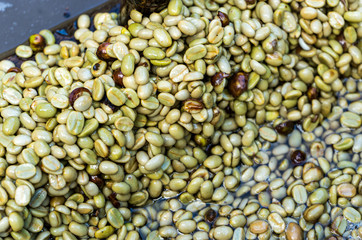 Coffee beans,In the ferment and wash method of wet processing