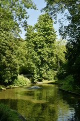 Fototapeta na wymiar L'un des petits étangs en plein bois très dense au parc Josaphat à Schaerbeek