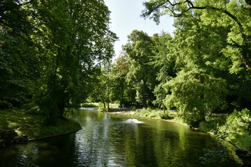 Fototapeta na wymiar L'étang principal au milieu de la végétation dense au parc Josaphat à Schaerbeek