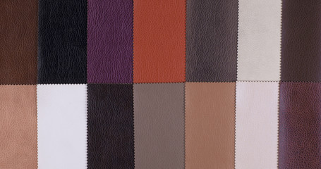 catalog of multi-colored leather for clothing and furniture