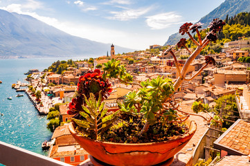 Vibrant succulents growing in a flowerpot on the balcony with Limone Sul Garda cityscape on background. Shore of Garda lake surrounded by scenic Northern Italian nature. Amazing cities