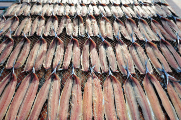 Half-dried Herring or Billfish, Korean called Gwamegi