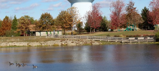 Fototapeta premium A peaceful autumn scene in the park on a sunny day.