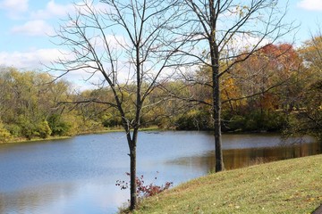 Obraz premium A view of the lake from the shore on a sunny fall day.