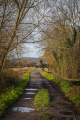 Path in the country