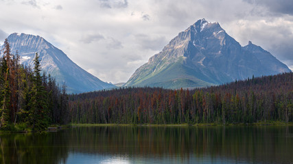 Fototapeta na wymiar Leach Lake, Jasper National Park, Alberta, Canada