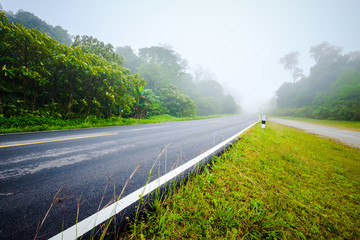 Road and Mist in Phu Hin Rong Kla National Park, Thailand