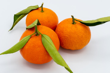 Tangerines - Fruit 