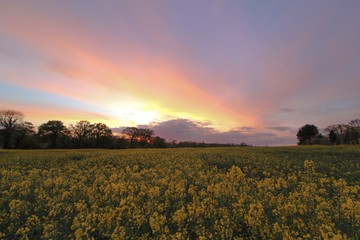 Obraz premium Evening April Sunset