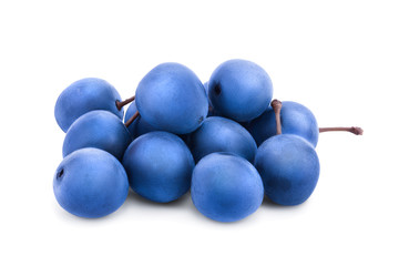 Blackthorn or Sloe berries isolated on white background. Prunus spinosa