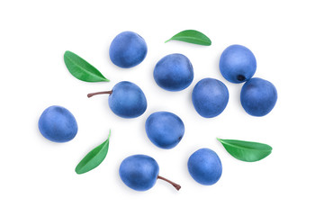 Blackthorn or Sloe berries with leaves isolated on white background. Prunus spinosa. Top view. Flat...