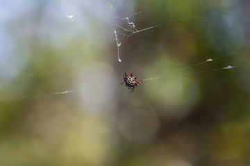 Florida Keys vacation