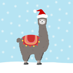 alpaka mit weihnachtsmann mütze © rosifan19