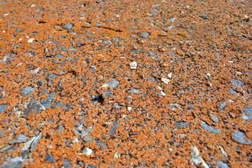 Yellow rough concrele surface close up detail, grunge horizontal shabby background