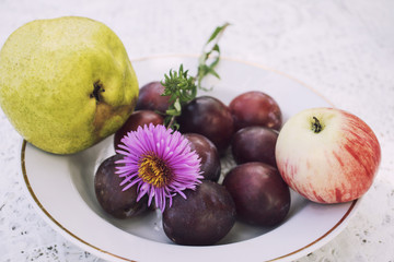 Fragrant apples and sweet plums and pears on a plate standing on the table. Delicious fruits in the warm summer sun.