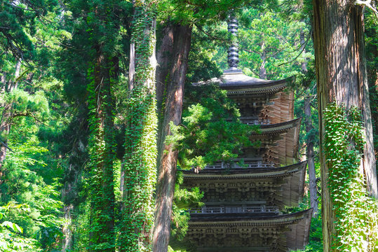 Five Storied Pagoda, Tsuruoka City, Yamagata Pref., Japan