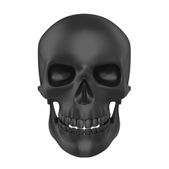 Obraz premium Human Skull Isolated