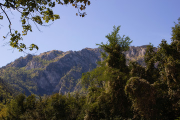 Fototapeta na wymiar Mountain summer landscape. Canyon in Montenegro. 