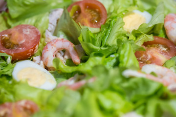 Tomatoes, shrimps, eggs and green salad. Closeup