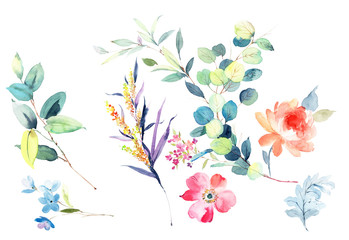 Watercolor flowers illustration